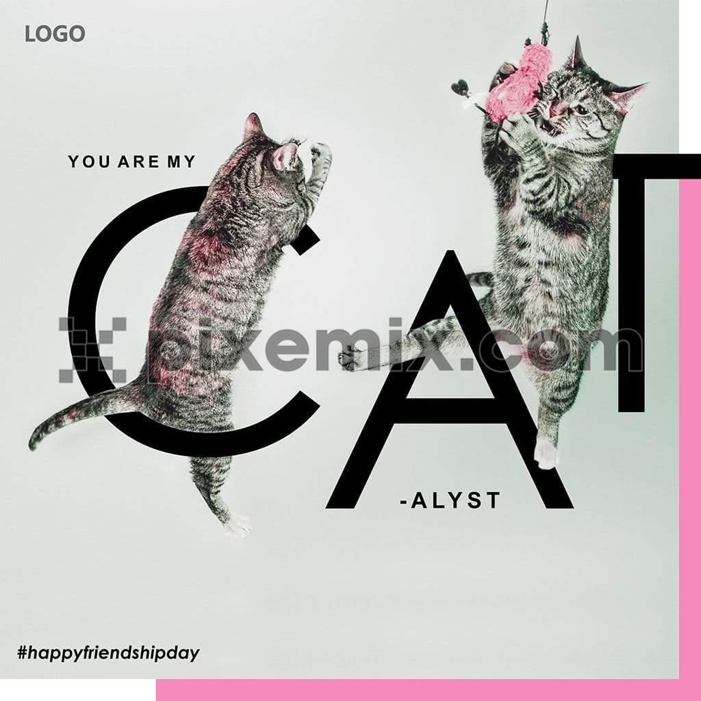 Witty CAT-alyst social media static post