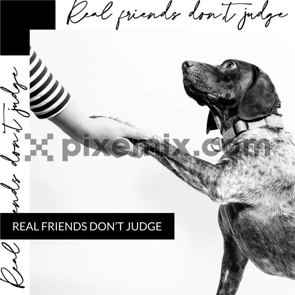 Pet friend monochrome modern social media static post